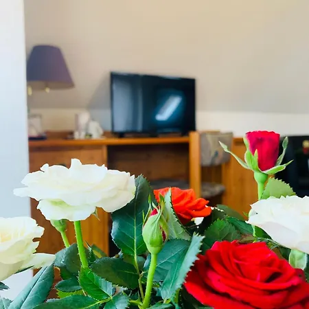 Guest house Garni Rosbach vor der Hohe